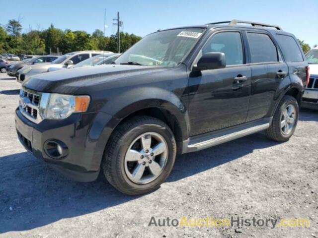 2011 FORD ESCAPE XLT, 1FMCU0D70BKB18593