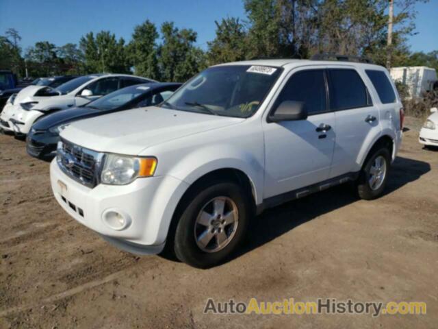 2011 FORD ESCAPE XLT, 1FMCU9D76BKB26119