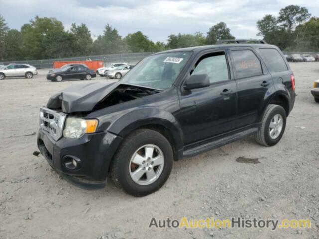 2011 FORD ESCAPE XLT, 1FMCU0D71BKB28419