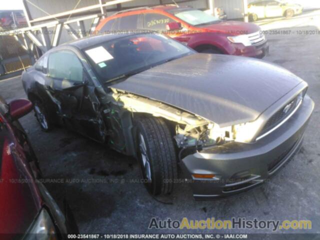 FORD MUSTANG, 1ZVBP8AM9E5316542