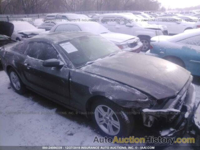 FORD MUSTANG, 1ZVBP8AM7E5311436