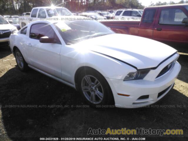 FORD MUSTANG, 1ZVBP8AM5E5253536
