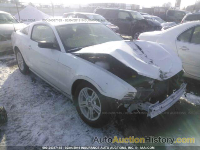 FORD MUSTANG, 1ZVBP8AM8E5328925