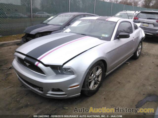 FORD MUSTANG, 1ZVBP8AM7E5279801