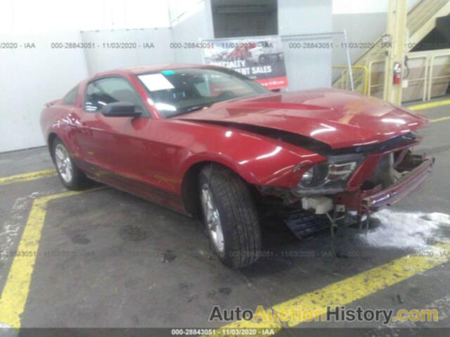 FORD MUSTANG V6, 1ZVBP8AMXC5251861