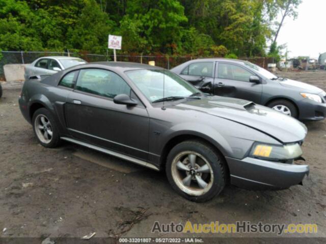 FORD MUSTANG GT, 1FAFP42XX3F319940