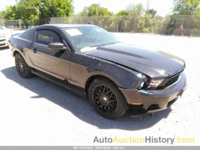 FORD MUSTANG, 1ZVBP8AM0C5251917