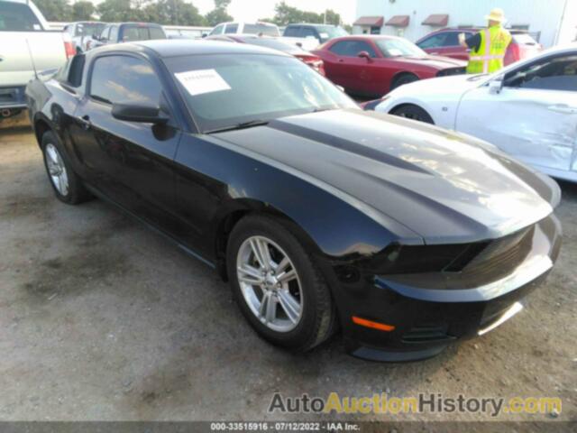 FORD MUSTANG, 1ZVBP8AM9C5260499