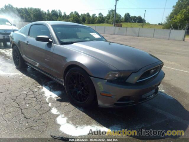 FORD MUSTANG, 1ZVBP8AM9E5286846