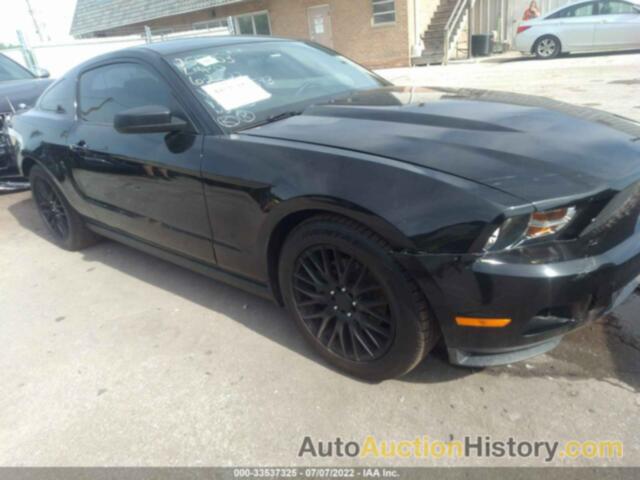 FORD MUSTANG V6, 1ZVBP8AMXC5252573