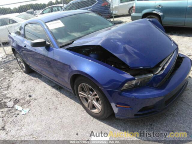 FORD MUSTANG, 1ZVBP8AM7D5281384