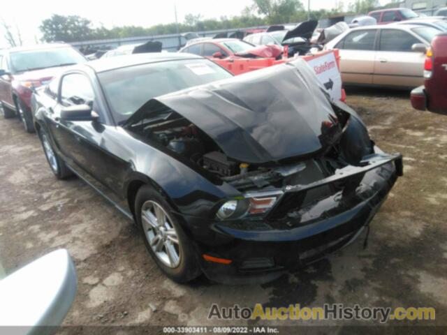FORD MUSTANG V6, 1ZVBP8AMXC5251293