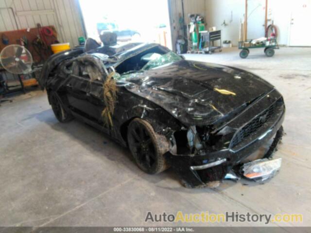 FORD MUSTANG ECOBOOST, 1FA6P8TH2J5135433