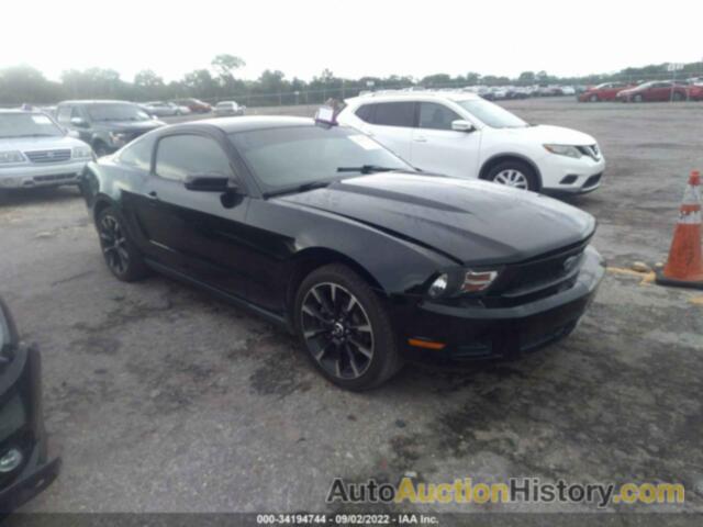 FORD MUSTANG, 1ZVBP8AM2C5240403