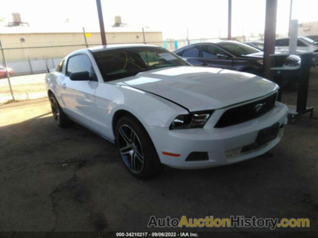 FORD MUSTANG, 1ZVBP8AM8C5237005