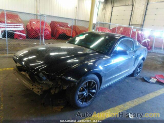 FORD MUSTANG, 1ZVBP8AM8E5259282