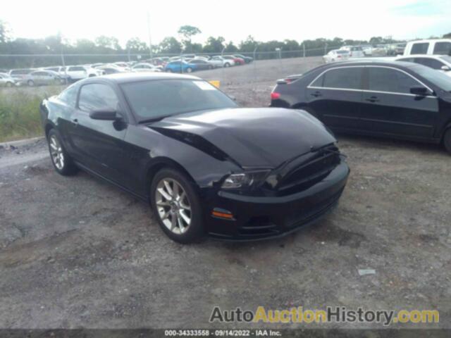 FORD MUSTANG, 1ZVBP8AM9E5253619
