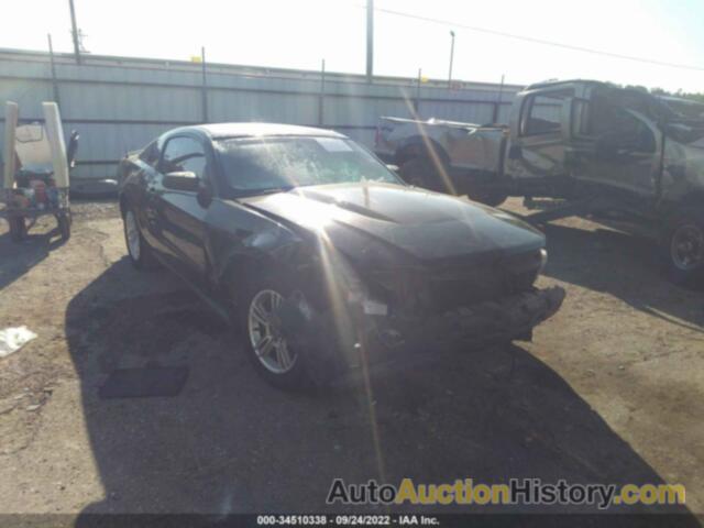 FORD MUSTANG, 1ZVBP8AM4C5210917