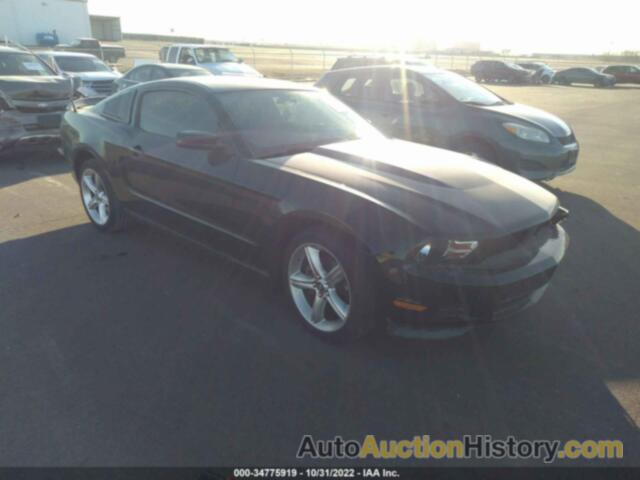 FORD MUSTANG V6, 1ZVBP8AMXC5223610