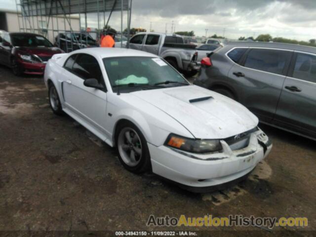 FORD MUSTANG GT, 1FAFP42X62F217520