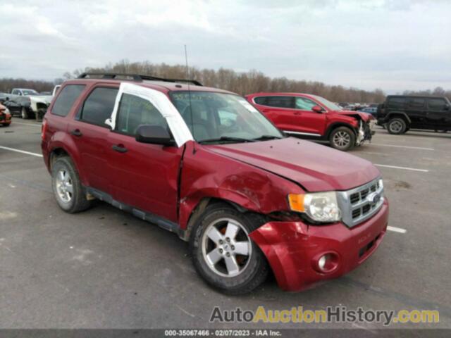 FORD ESCAPE XLT, 1FMCU9D71BKB67502