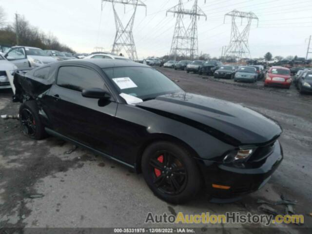 FORD MUSTANG V6, 1ZVBP8AMXC5258129