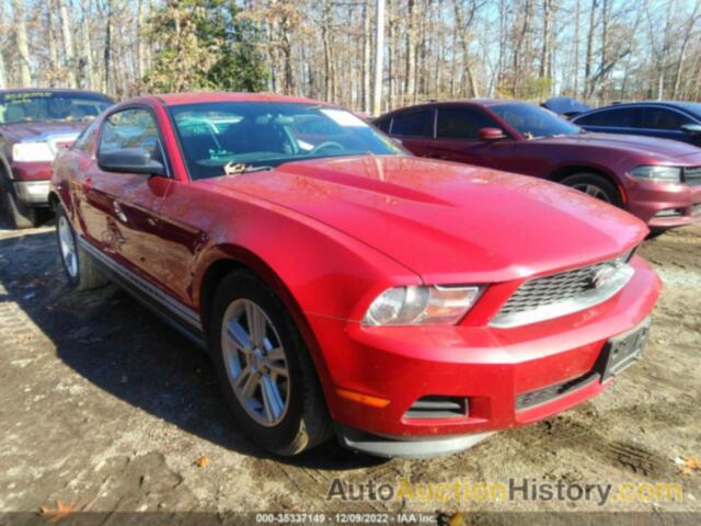 FORD MUSTANG V6, 1ZVBP8AMXC5252489