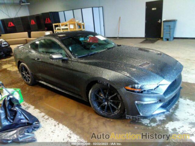 FORD MUSTANG ECOBOOST, 1FA6P8THXK5134080