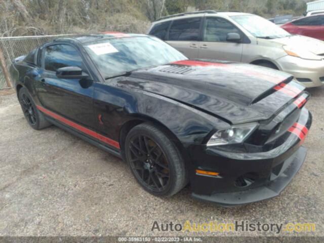 FORD MUSTANG SHELBY GT500, 1ZVBP8JS2C5252260