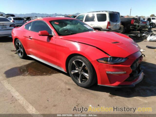 FORD MUSTANG ECOBOOST, 1FA6P8TH7J5105604