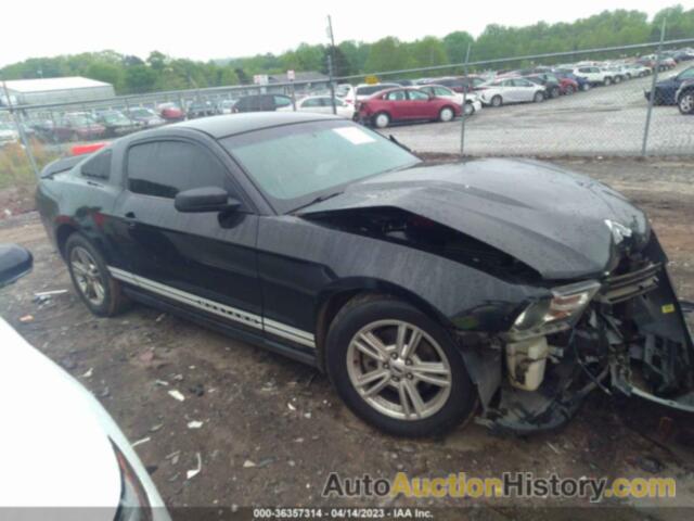 FORD MUSTANG V6, 1ZVBP8AMXC5260575