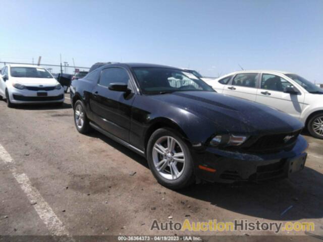 FORD MUSTANG V6, 1ZVBP8AN5A5123291