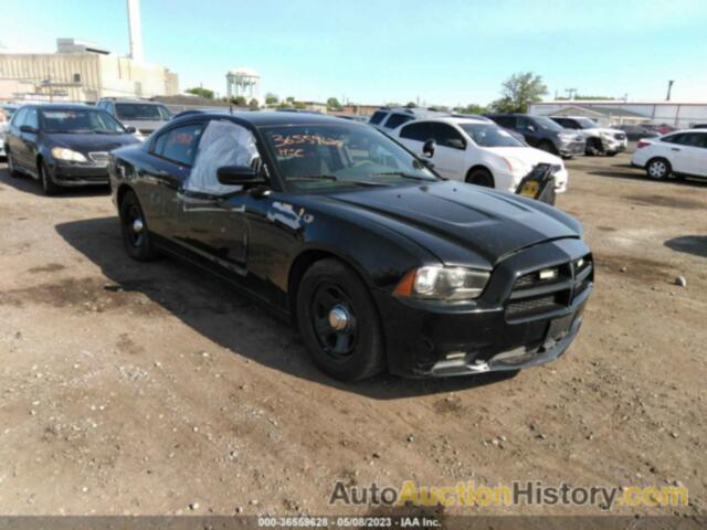 DODGE CHARGER POLICE, 2C3CDXAG5DH721491