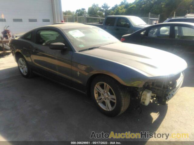 FORD MUSTANG V6, 1ZVBP8AN5A5138521