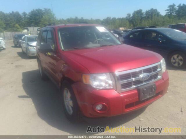 FORD ESCAPE XLT, 1FMCU0D70BKB01695