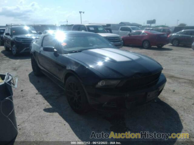 FORD MUSTANG V6, 1ZVBP8AMXC5232274