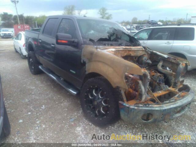 FORD F-150 XLT, 1FTFW1ET6BKD46921