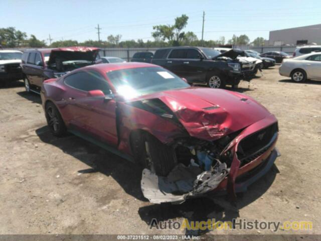 FORD MUSTANG GT, 1FA6P8CF6J5104314