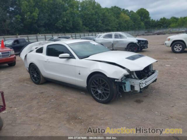 FORD SHELBY GT500, 1ZVBP8JS5B5155911