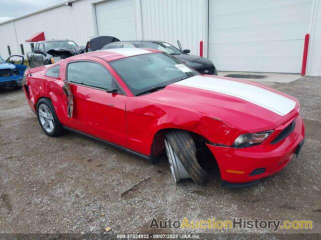 FORD MUSTANG V6, 1ZVBP8AN8A5154857