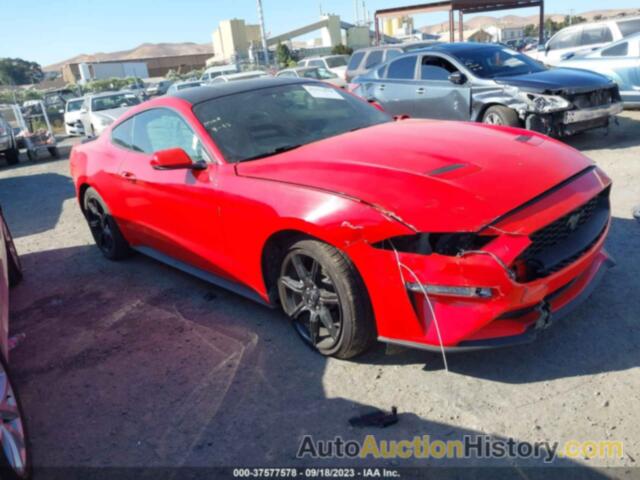 FORD MUSTANG, 1FA6P8TH8K5131100