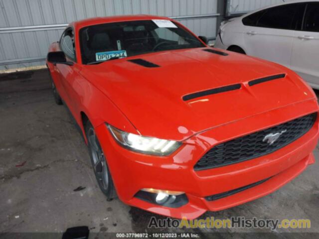 FORD MUSTANG V6, 1FA6P8AM3G5228776