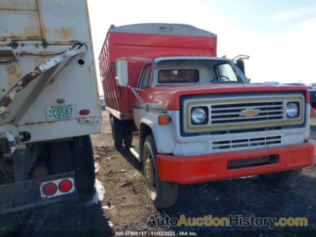 CHEVROLET C10 CAB & CHASSIS, CCE613V169381