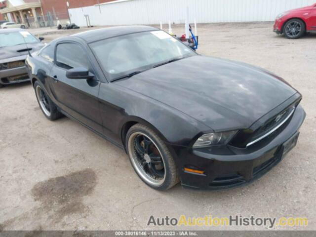 FORD MUSTANG, 1ZVBP8AM6E5334514