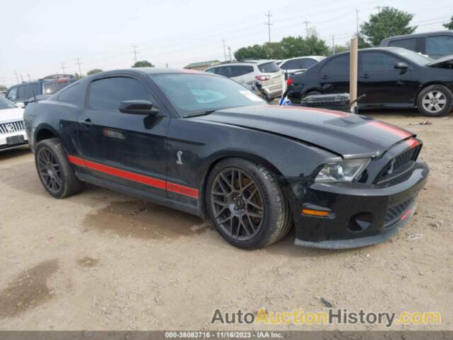 FORD SHELBY GT500, 1ZVBP8JS1C5218021