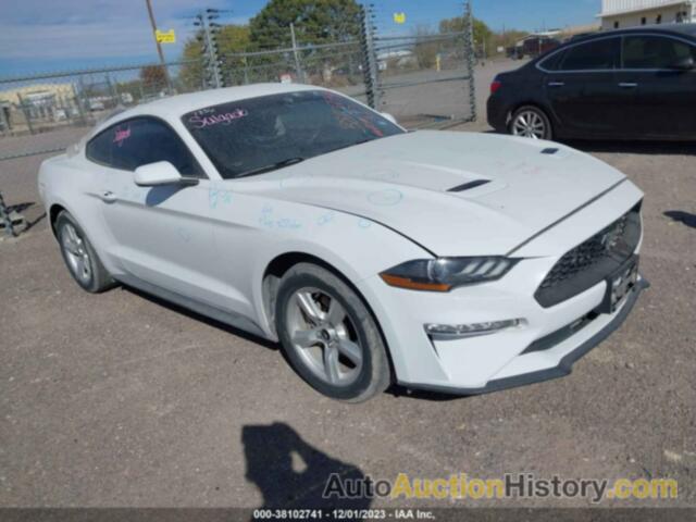 FORD MUSTANG ECOBOOST, 1FA6P8TH0J5104293