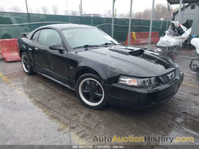 FORD MUSTANG GT, 1FAFP42X13F364071
