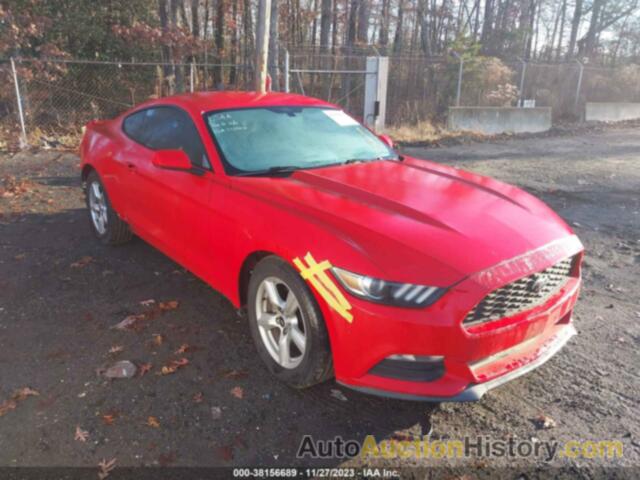 FORD MUSTANG, 1FA6P8AM4F5336239
