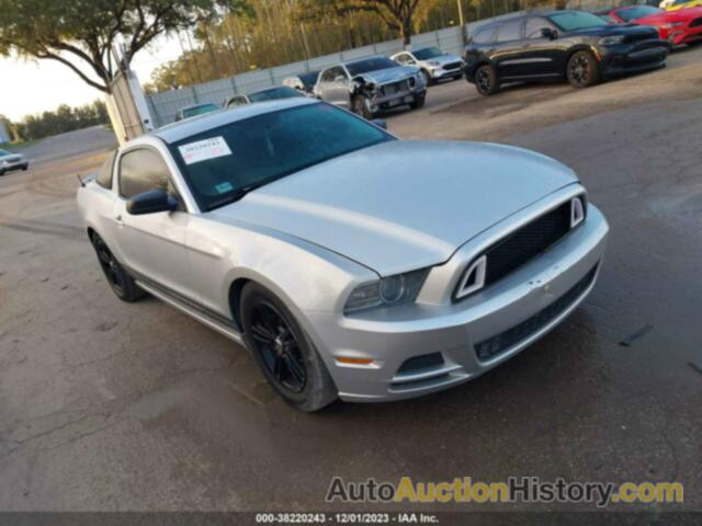 FORD MUSTANG, 1ZVBP8AM7D5246005