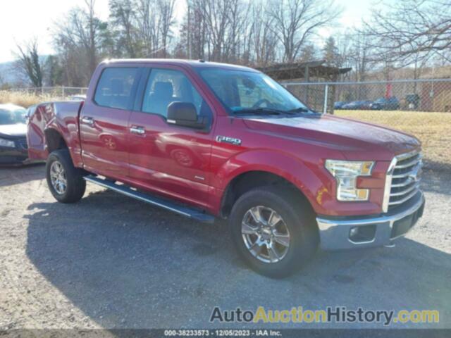 FORD F-150 XLT, 1FTEW1EP4FFC31876